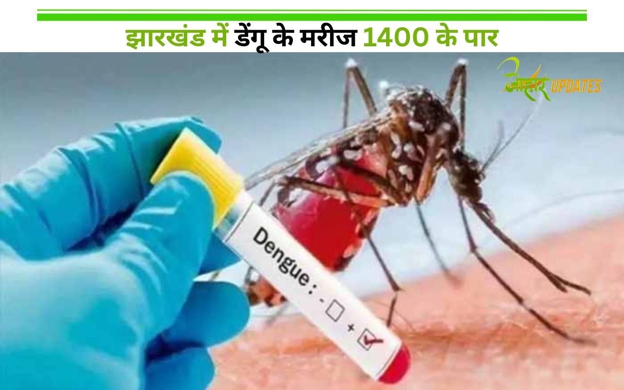 dengue cases in jharkhand