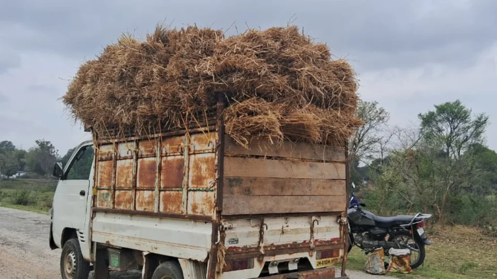 गांजा की तस्करी