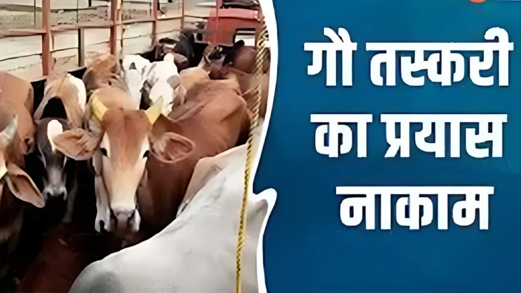 गौतस्करी का प्रयाश