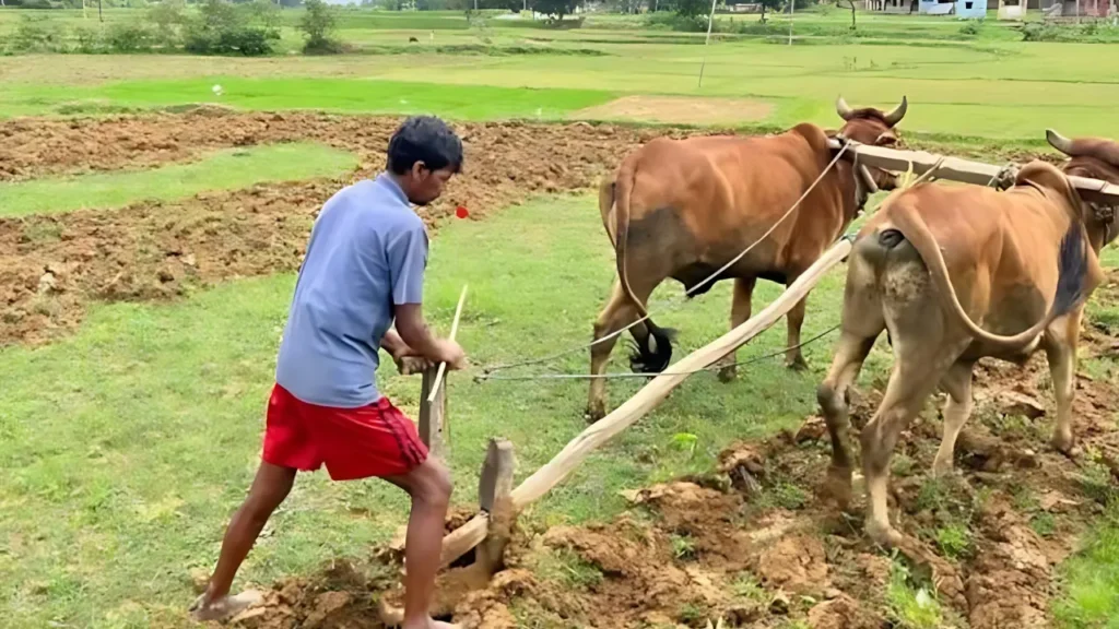 _जिनसे लाभ उठाने और उनकी समस्याओं को दूर करने का आश्वासन दिया गया