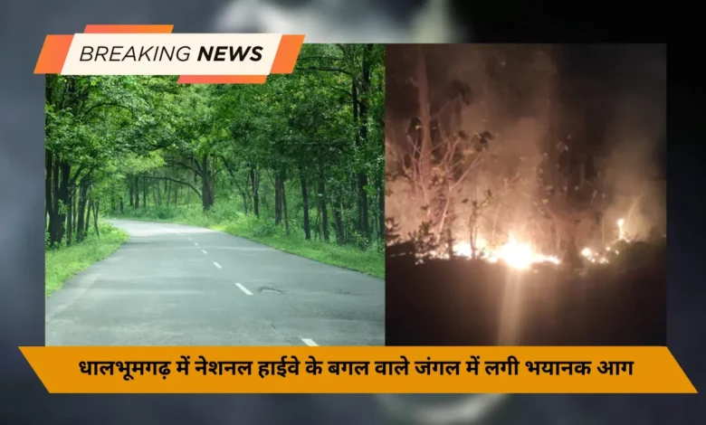 धालभूमगढ़ में नेशनल हाईवे के बगल वाले जंगल में लगी भयानक आग, हज़ारो पेड़ जल कर राख