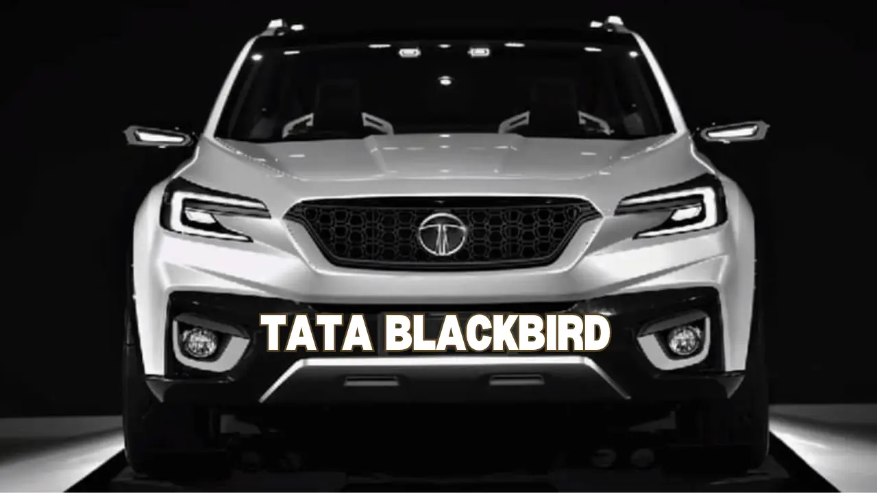 Tata Blackbird