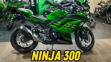 Kawasaki Ninja 300